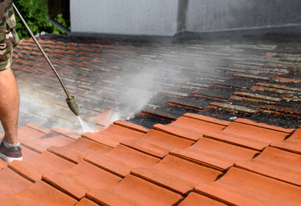 Roof Power Washing Services in Bowmanstown, PA